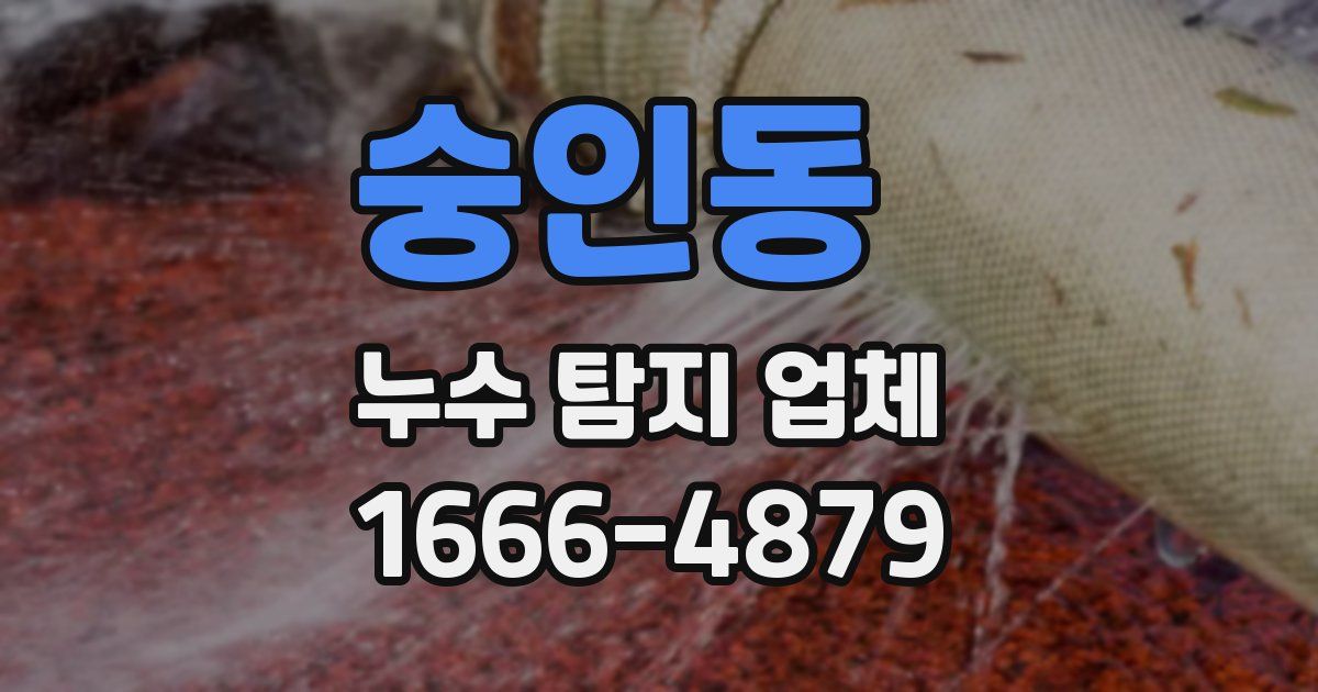 숭인동 누수 탐지 업체