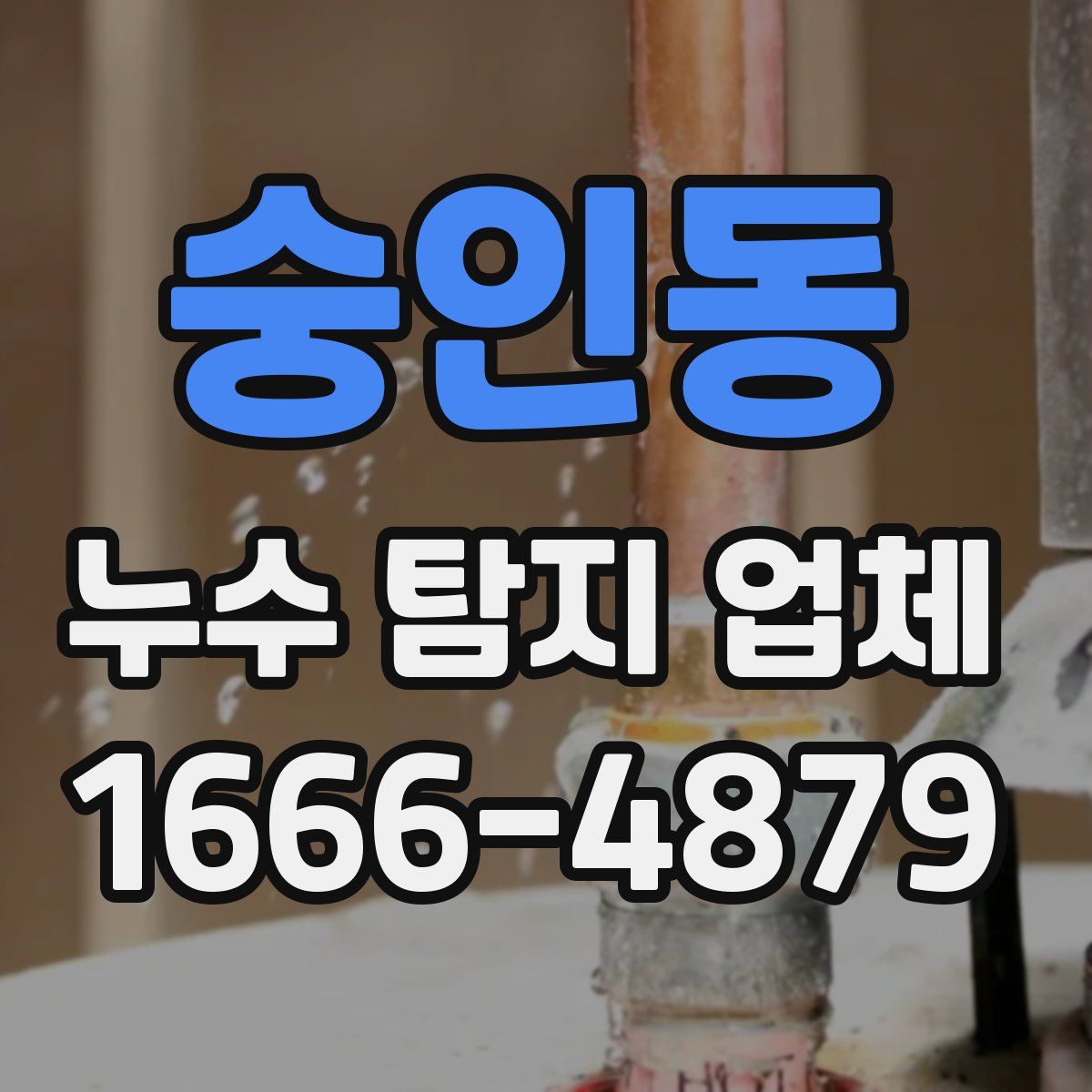 숭인동 누수 탐지 업체