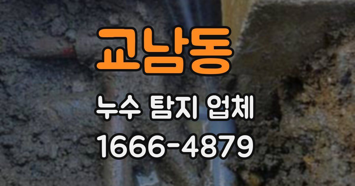 교남동 누수 탐지 업체