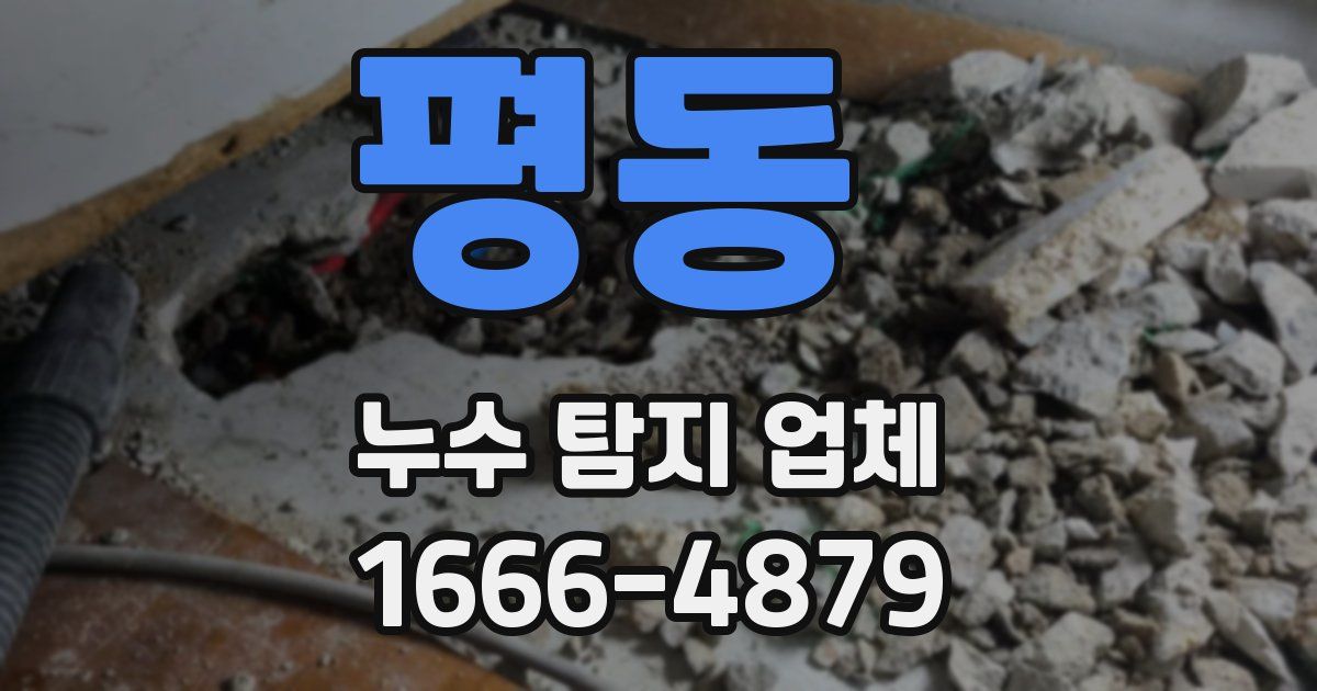 평동 누수 탐지 업체