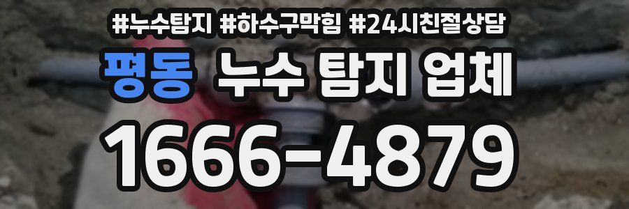 평동 누수 탐지 업체
