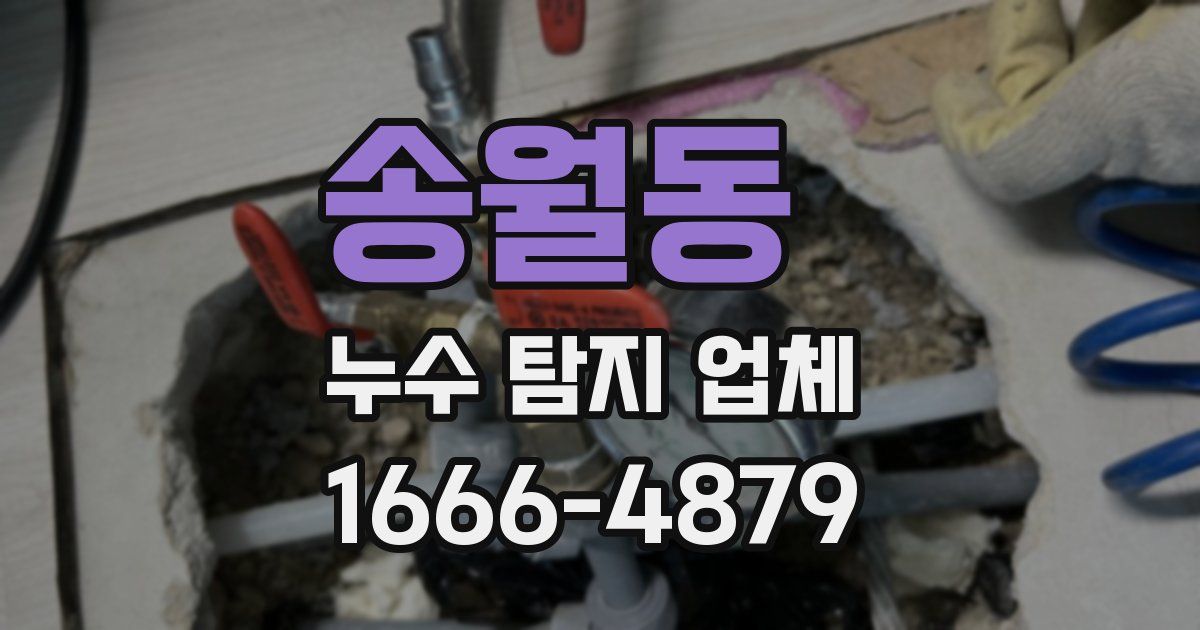송월동 누수 탐지 업체