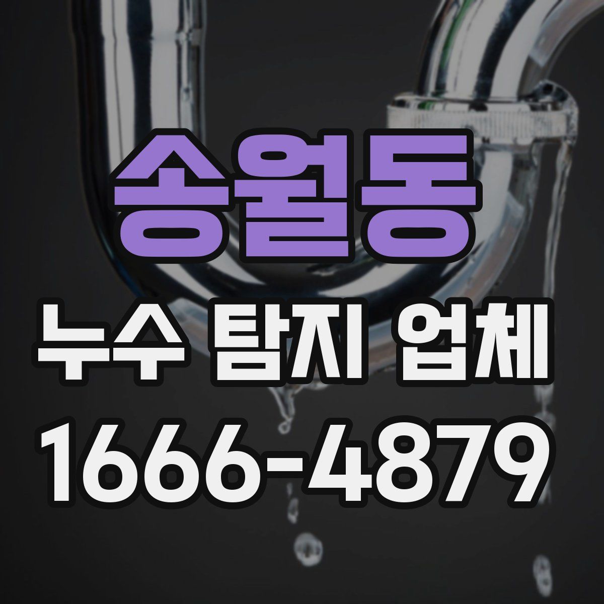 송월동 누수 탐지 업체