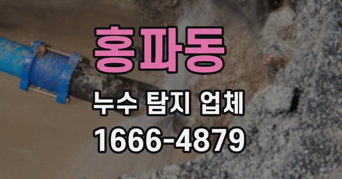 홍파동 누수 탐지 업체