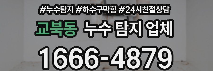 교북동 누수 탐지 업체