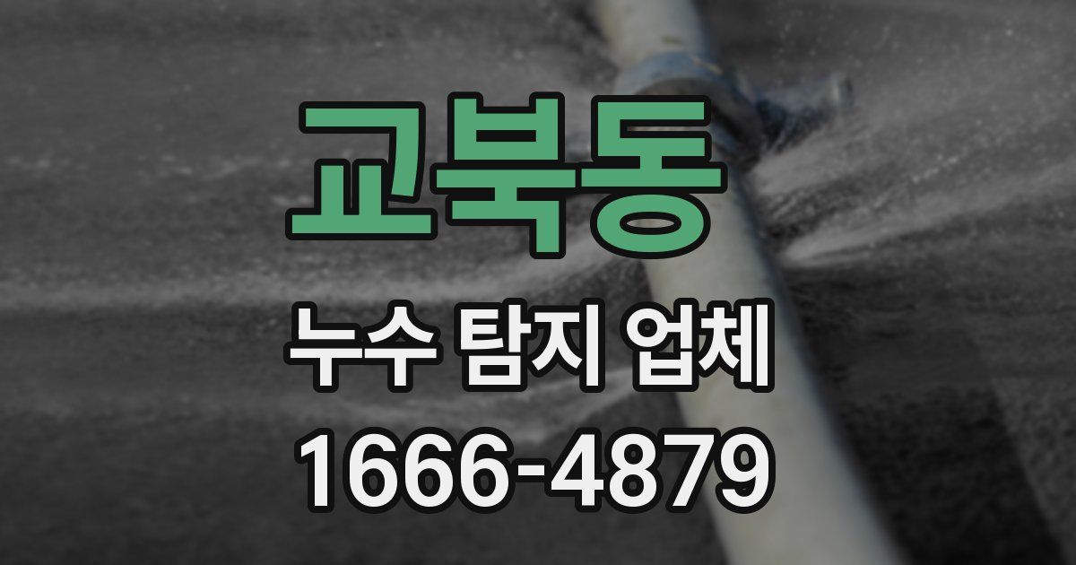 교북동 누수 탐지 업체