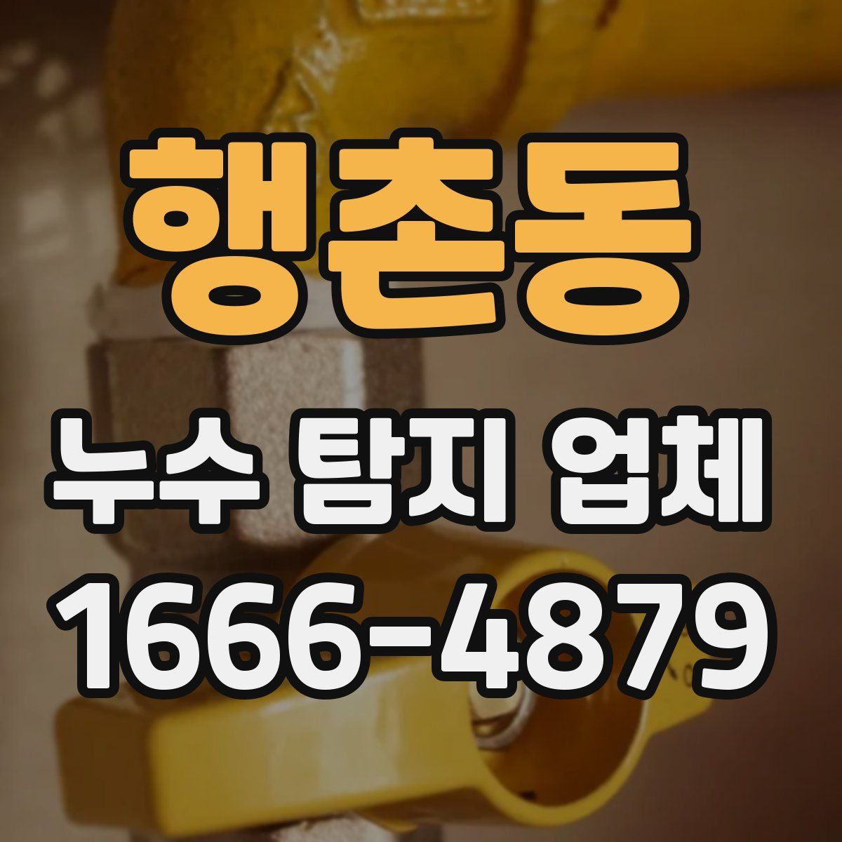 행촌동 누수 탐지 업체