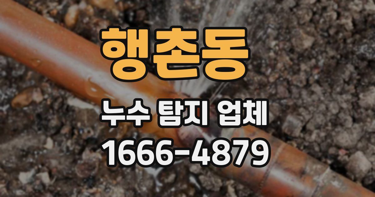 행촌동 누수 탐지 업체