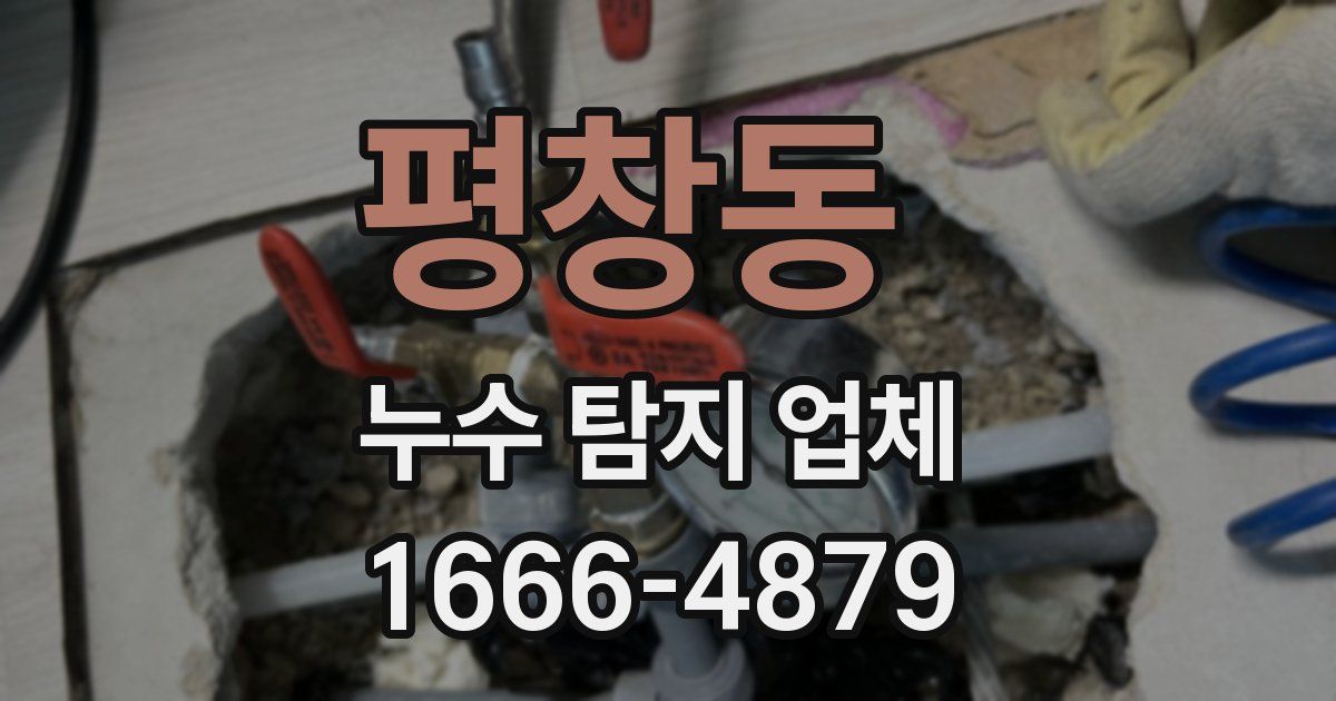 평창동 누수 탐지 업체