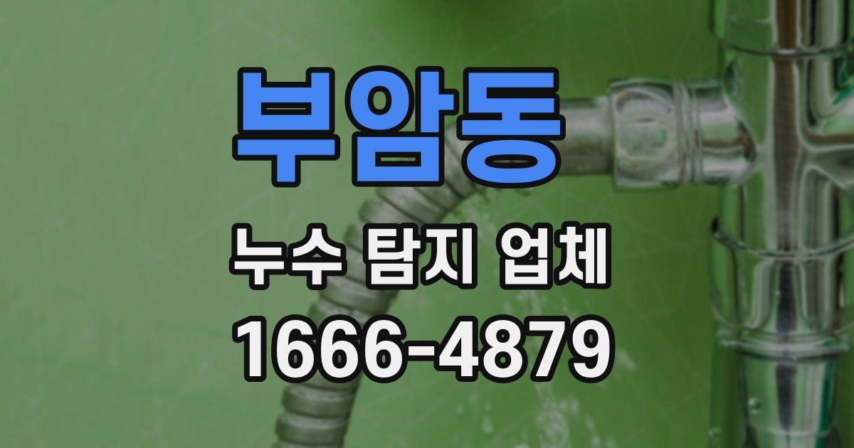 부암동 누수 탐지 업체