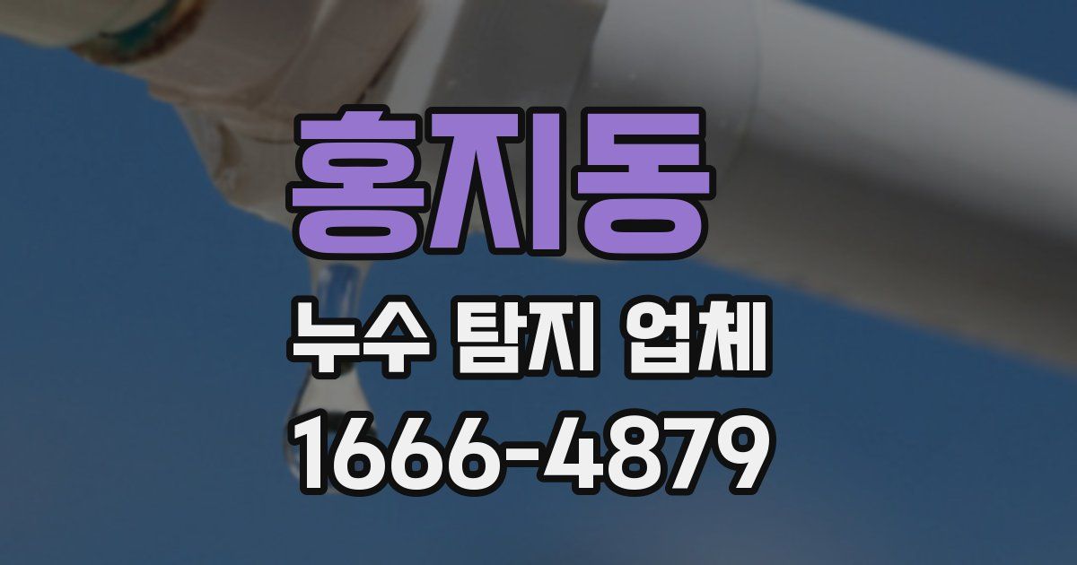 홍지동 누수 탐지 업체