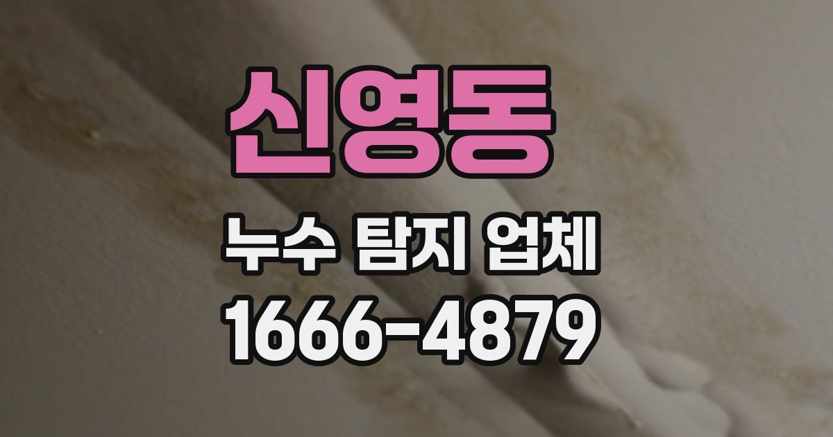신영동 누수 탐지 업체