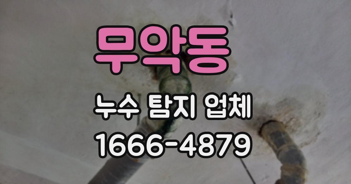 무악동 누수 탐지 업체