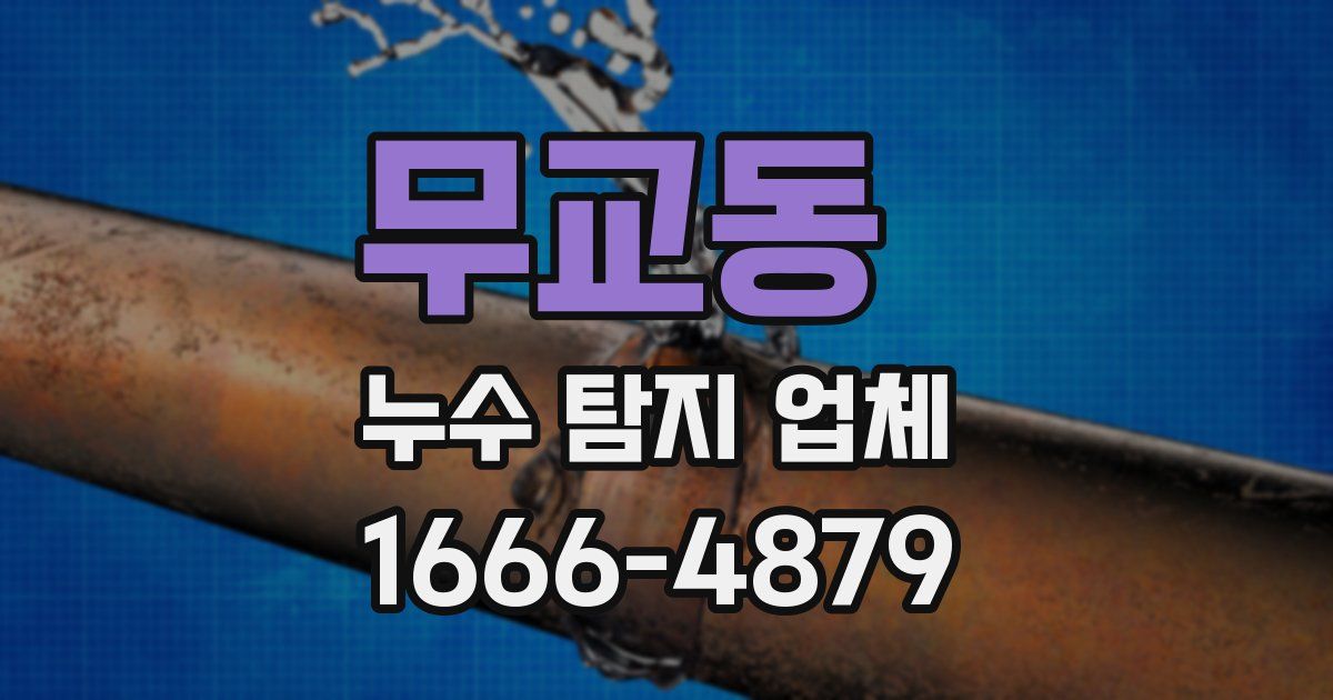 무교동 누수 탐지 업체
