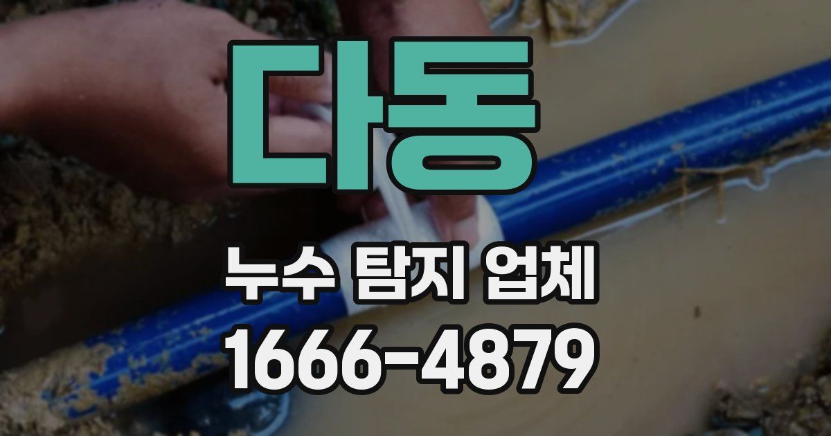 다동 누수 탐지 업체