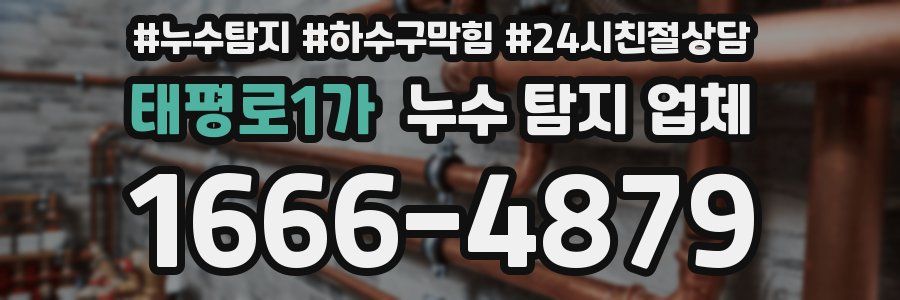 태평로1가 누수 탐지 업체