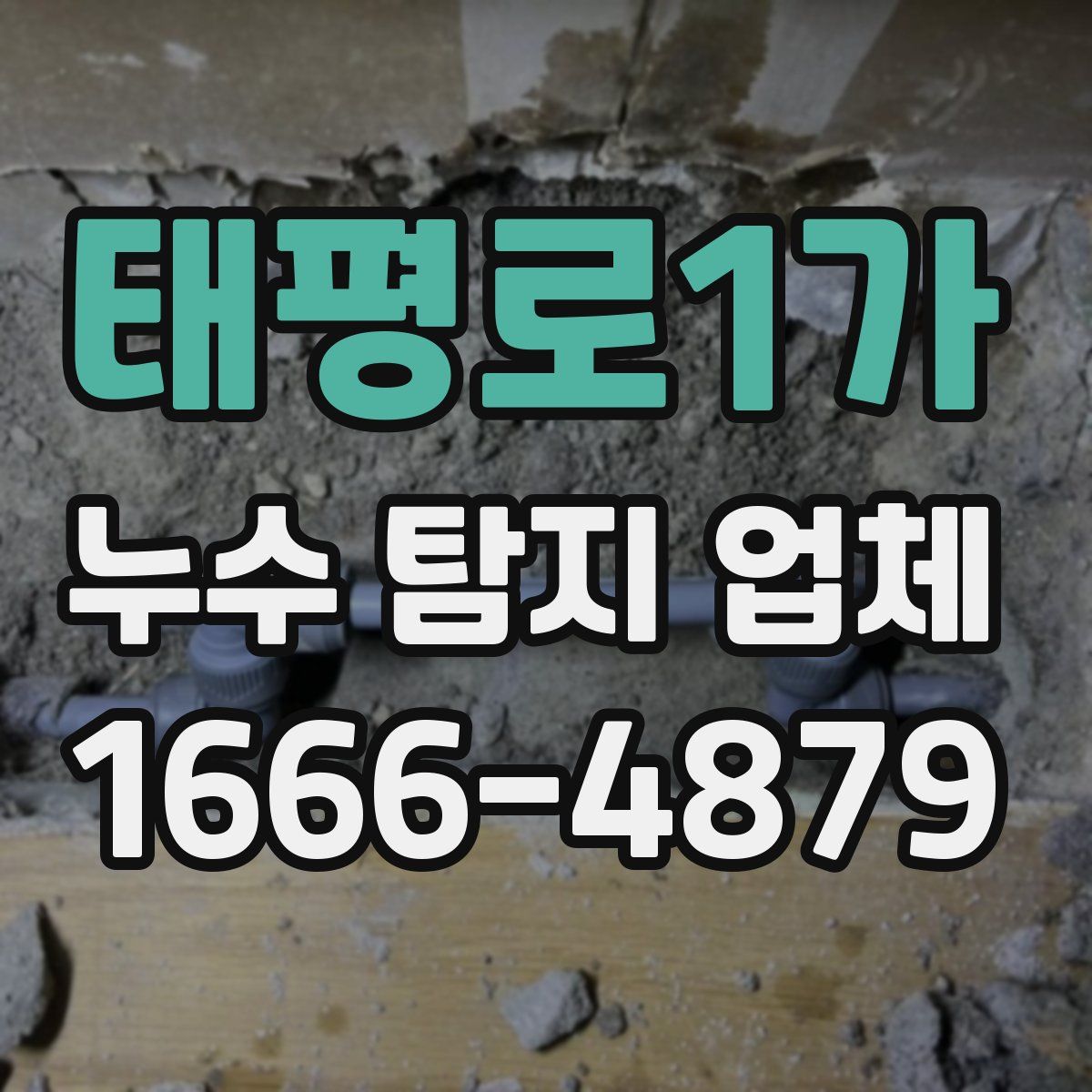 태평로1가 누수 탐지 업체