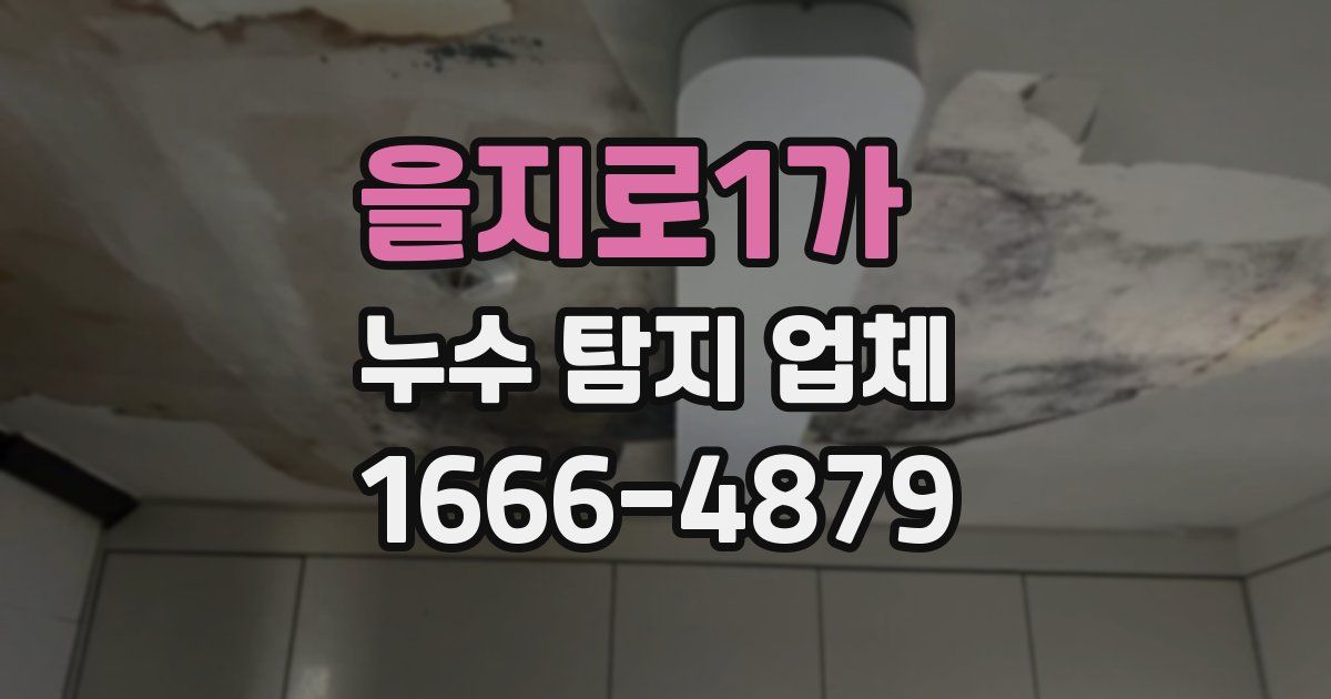 을지로1가 누수 탐지 업체
