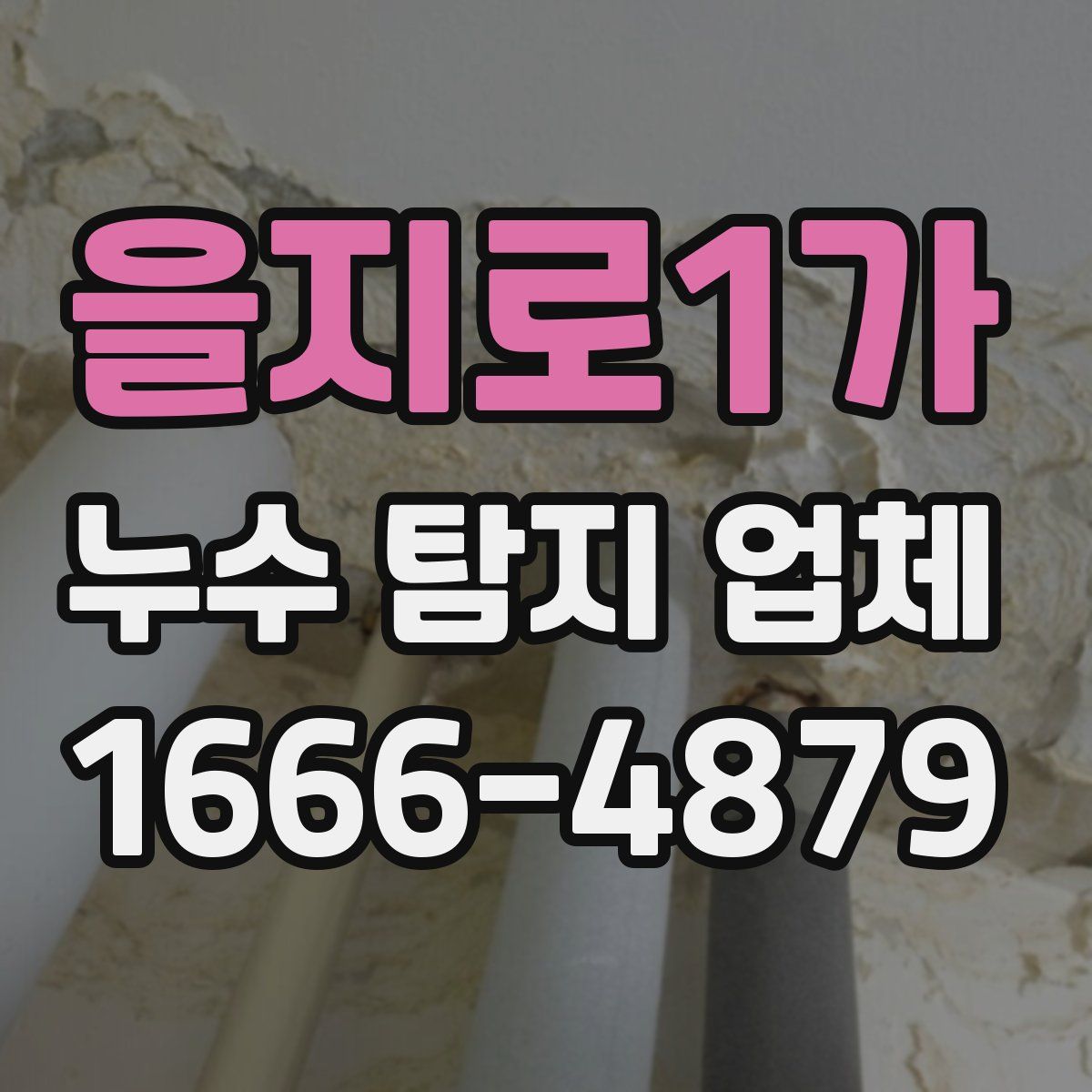 을지로1가 누수 탐지 업체