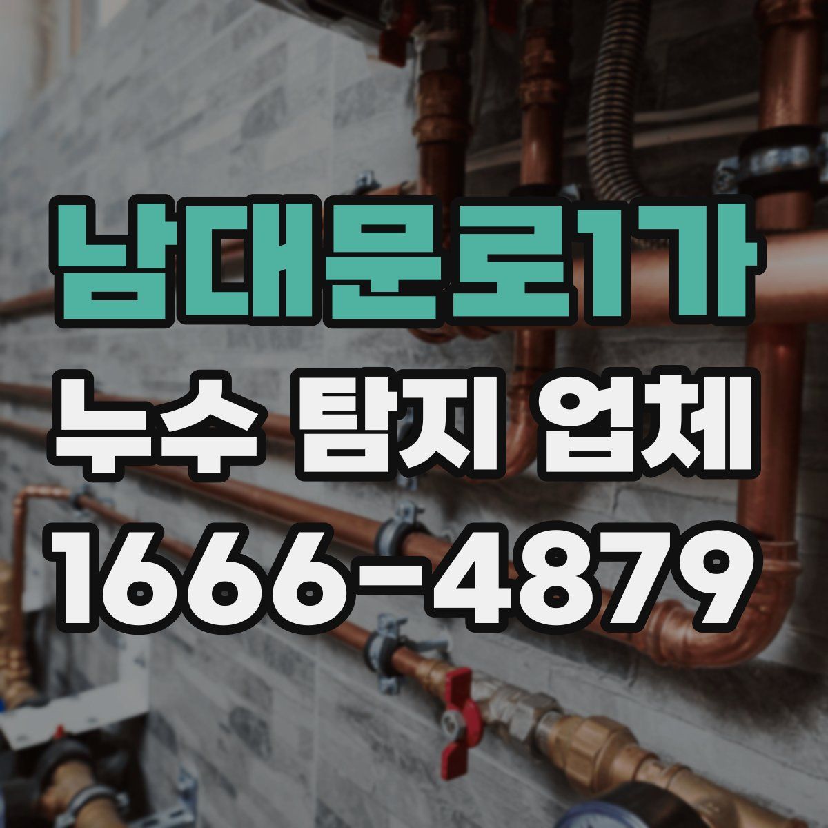남대문로1가 누수 탐지 업체