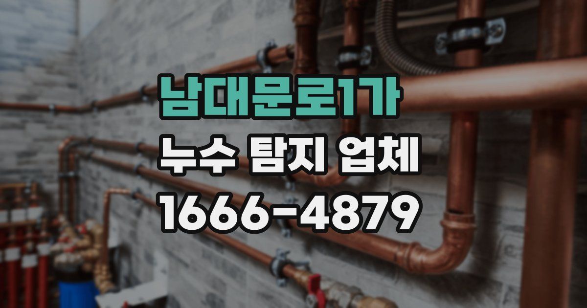 남대문로1가 누수 탐지 업체