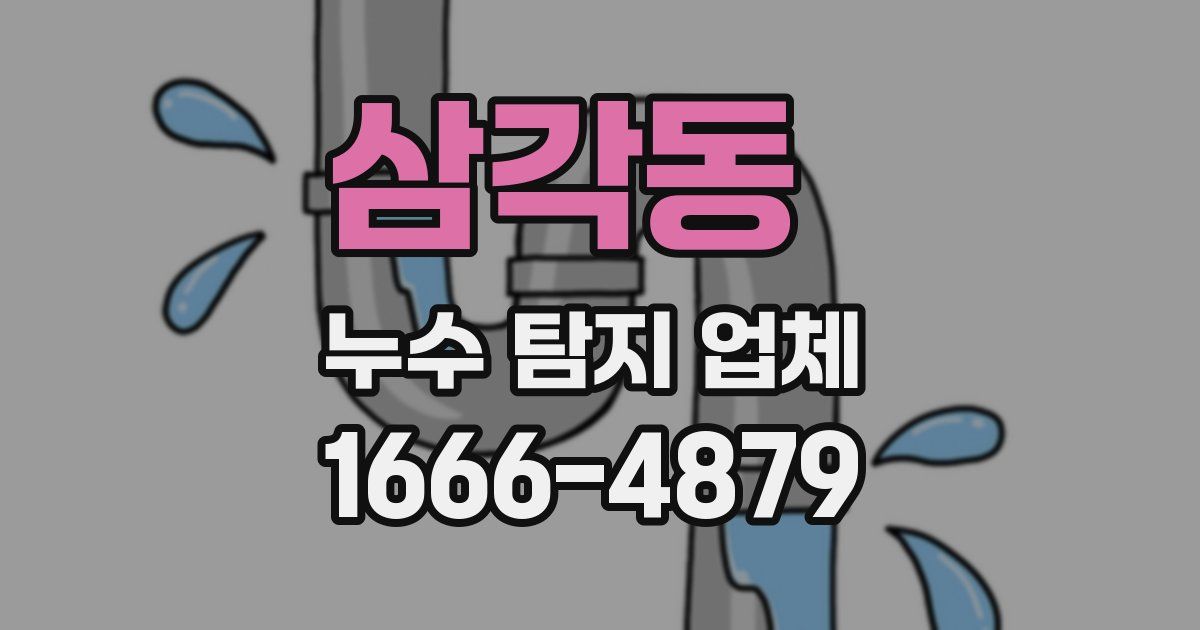 삼각동 누수 탐지 업체