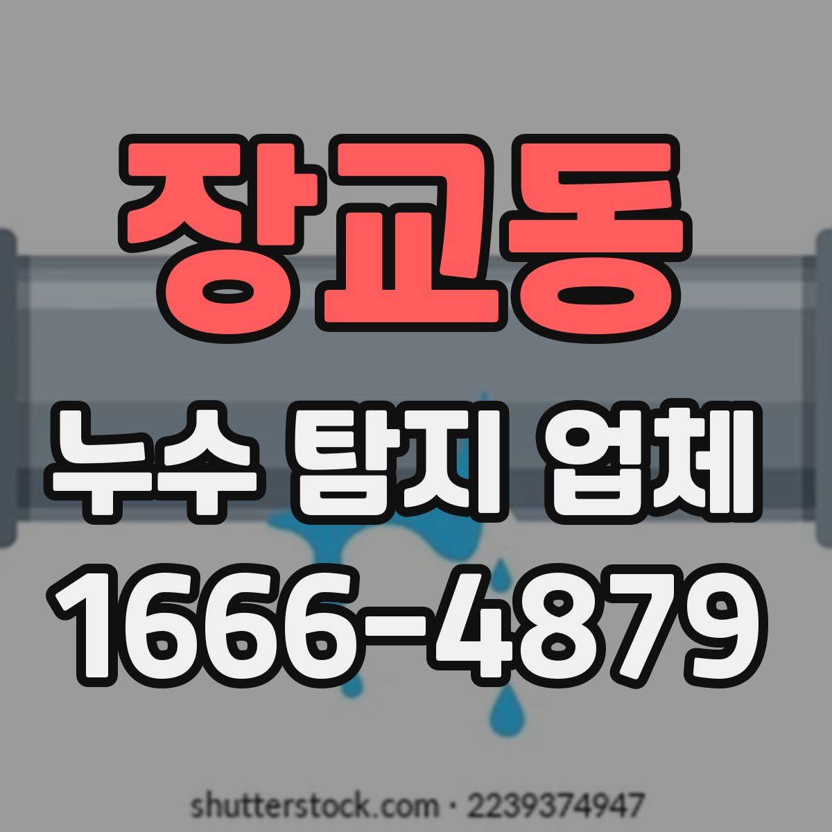 장교동 누수 탐지 업체