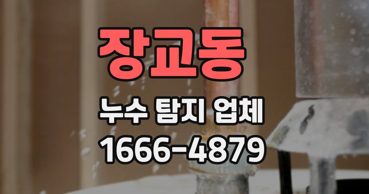 장교동 누수 탐지 업체