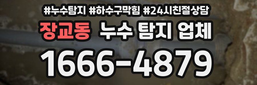 장교동 누수 탐지 업체