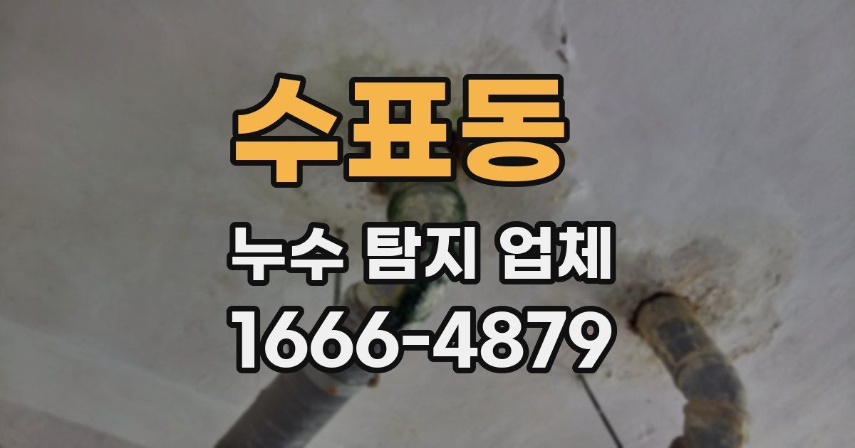 수표동 누수 탐지 업체