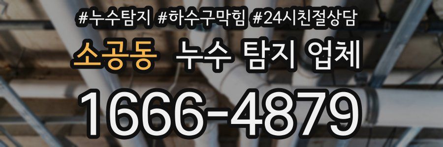 소공동 누수 탐지 업체
