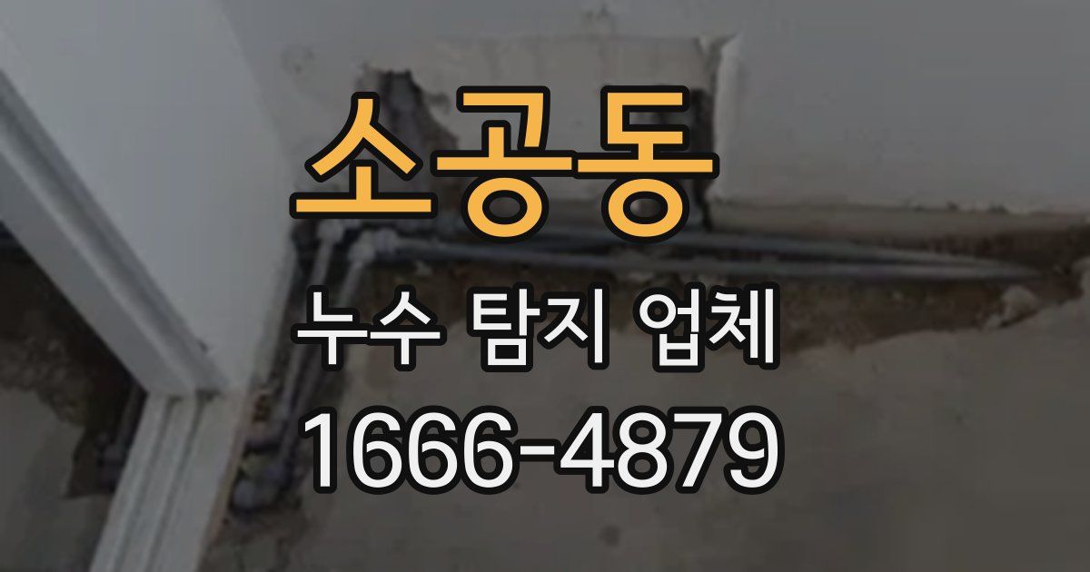 소공동 누수 탐지 업체