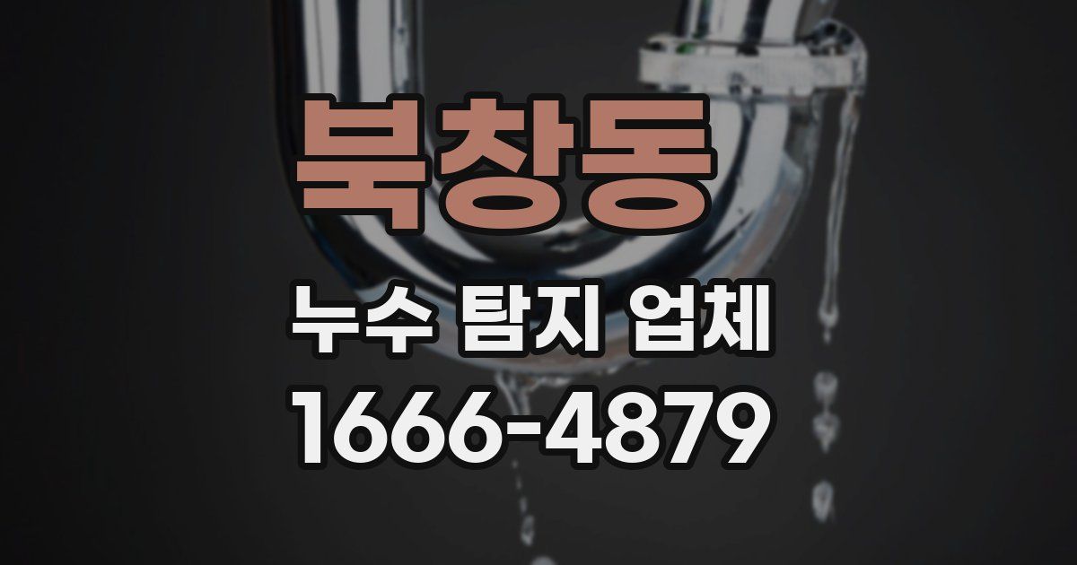 북창동 누수 탐지 업체