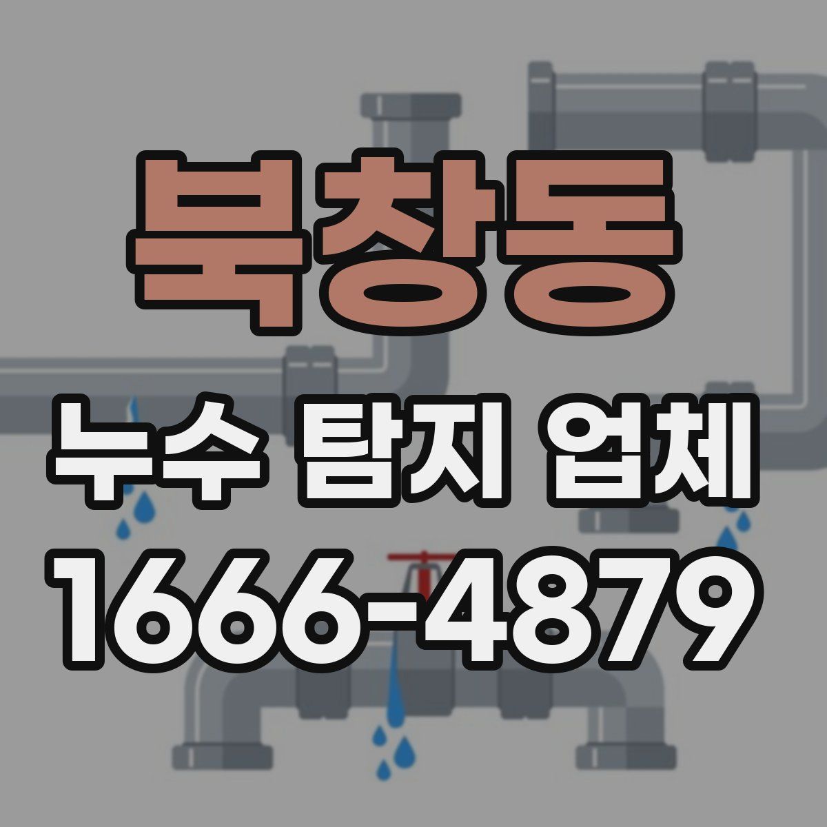 북창동 누수 탐지 업체