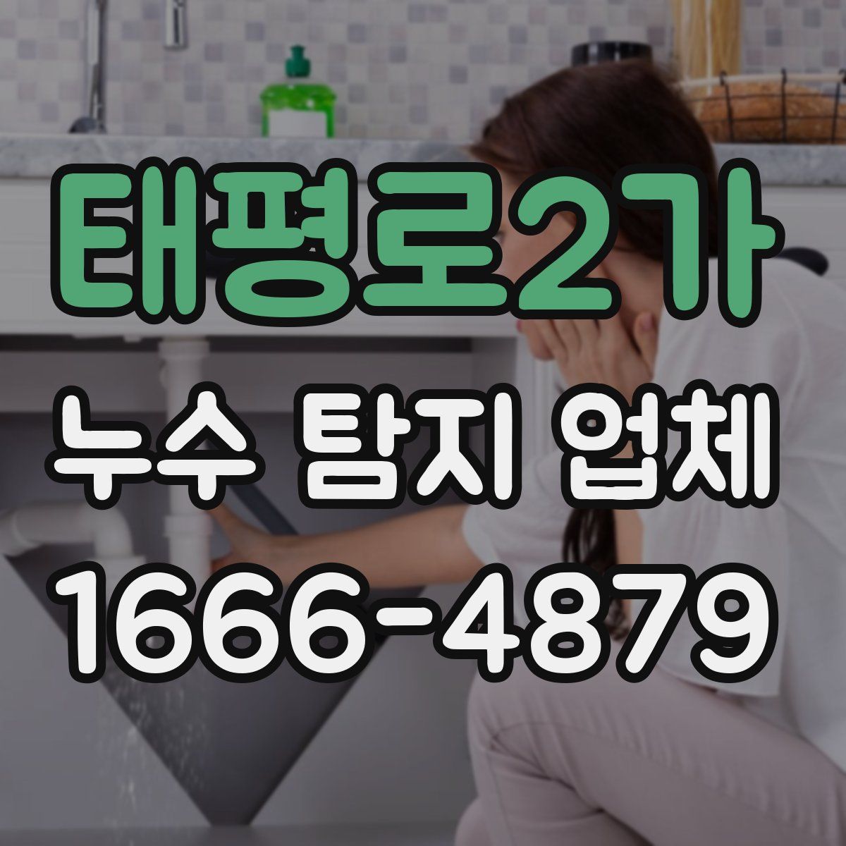 태평로2가 누수 탐지 업체