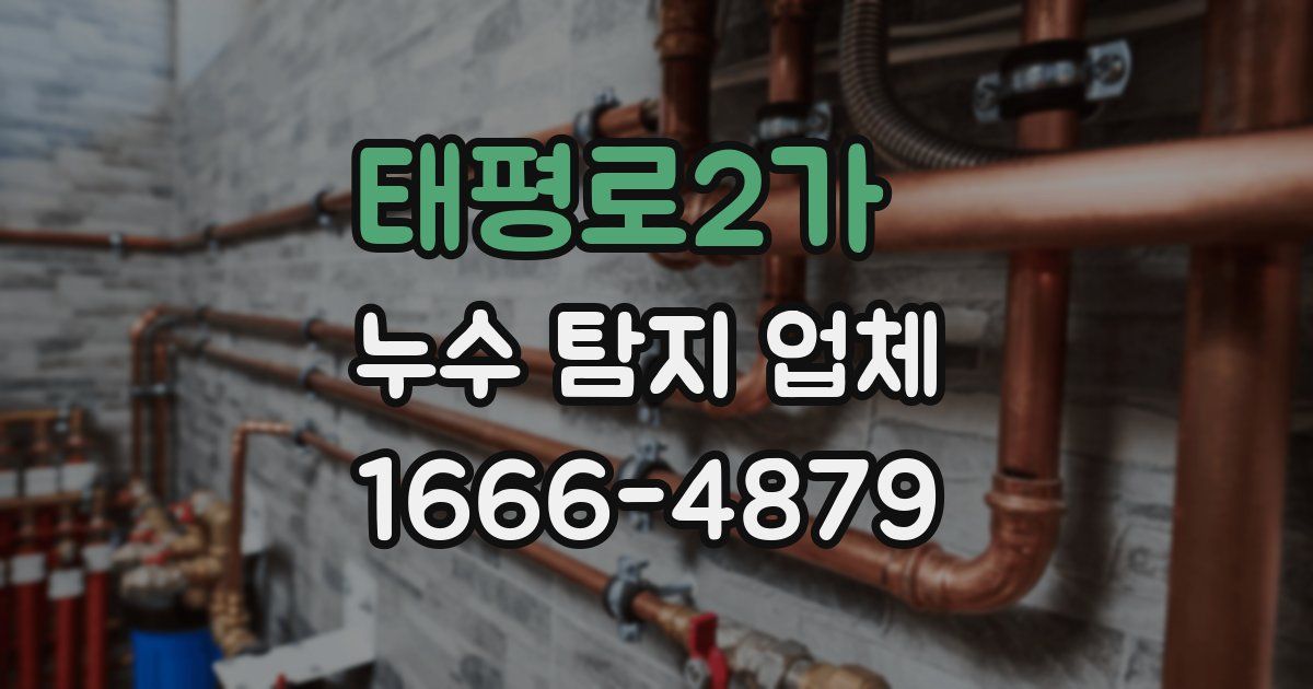 태평로2가 누수 탐지 업체