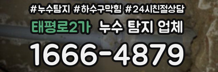 태평로2가 누수 탐지 업체
