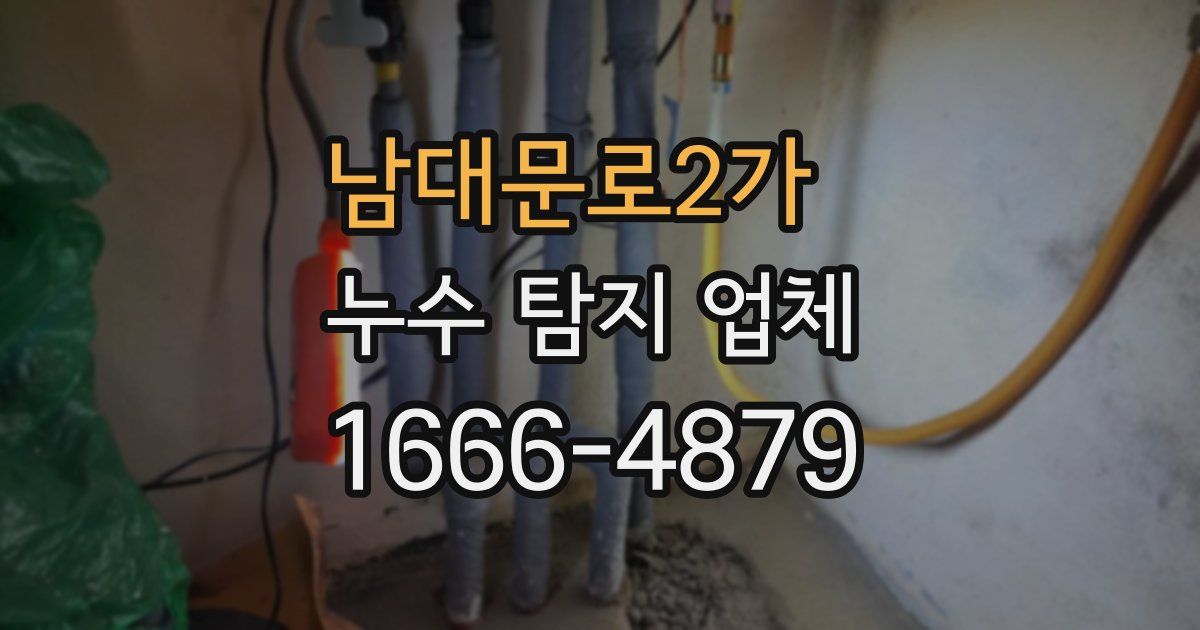 남대문로2가 누수 탐지 업체
