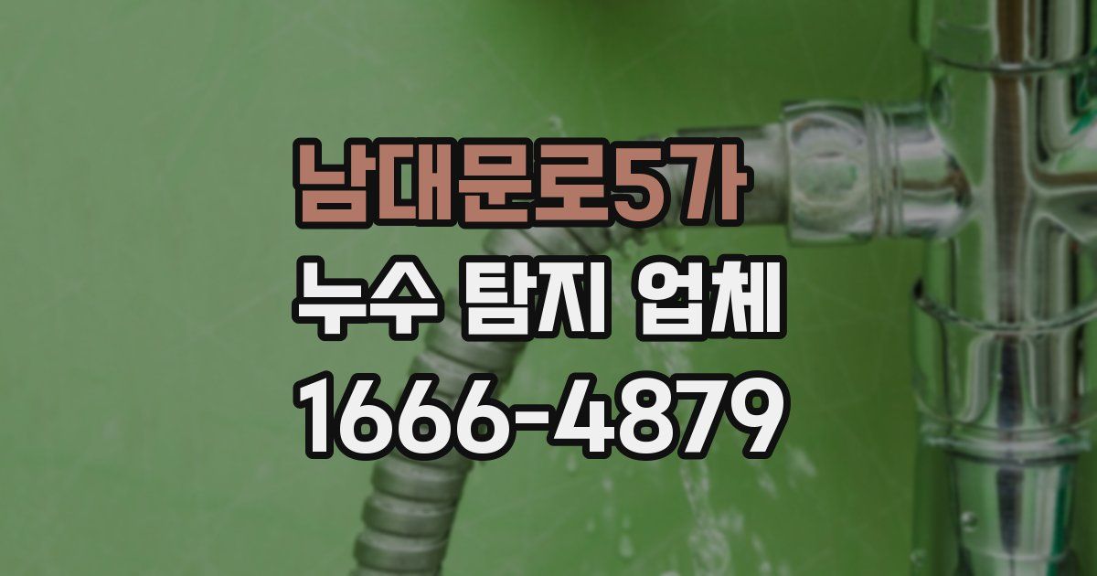 남대문로5가 누수 탐지 업체