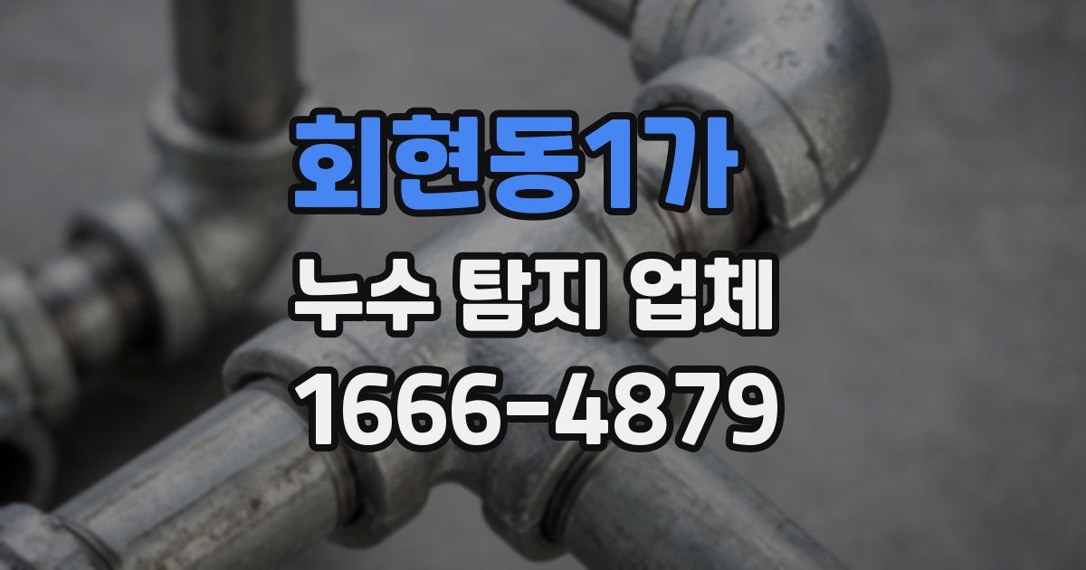 회현동1가 누수 탐지 업체