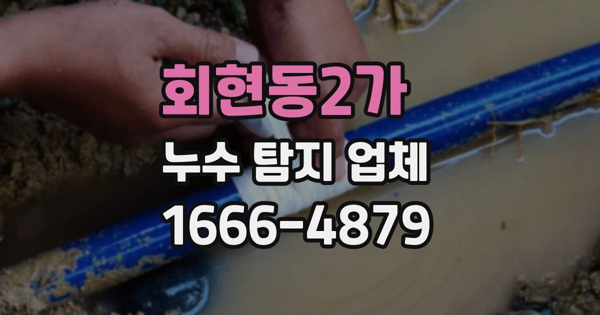 회현동2가 누수 탐지 업체