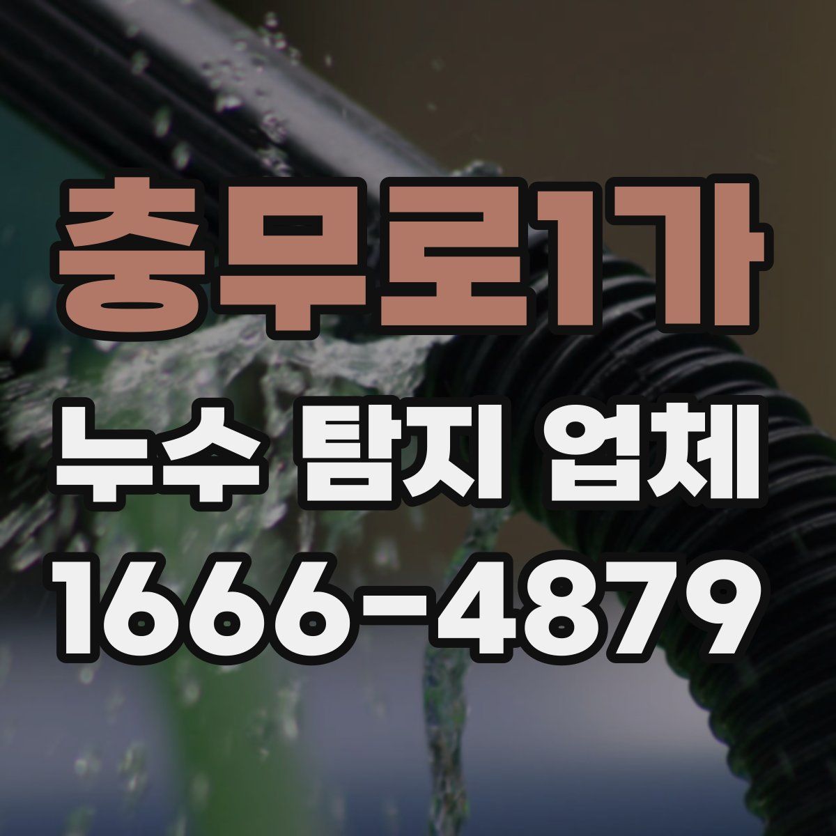충무로1가 누수 탐지 업체