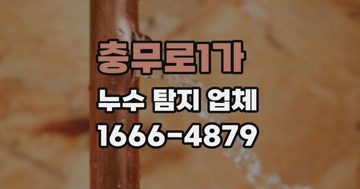 충무로1가 누수 탐지 업체