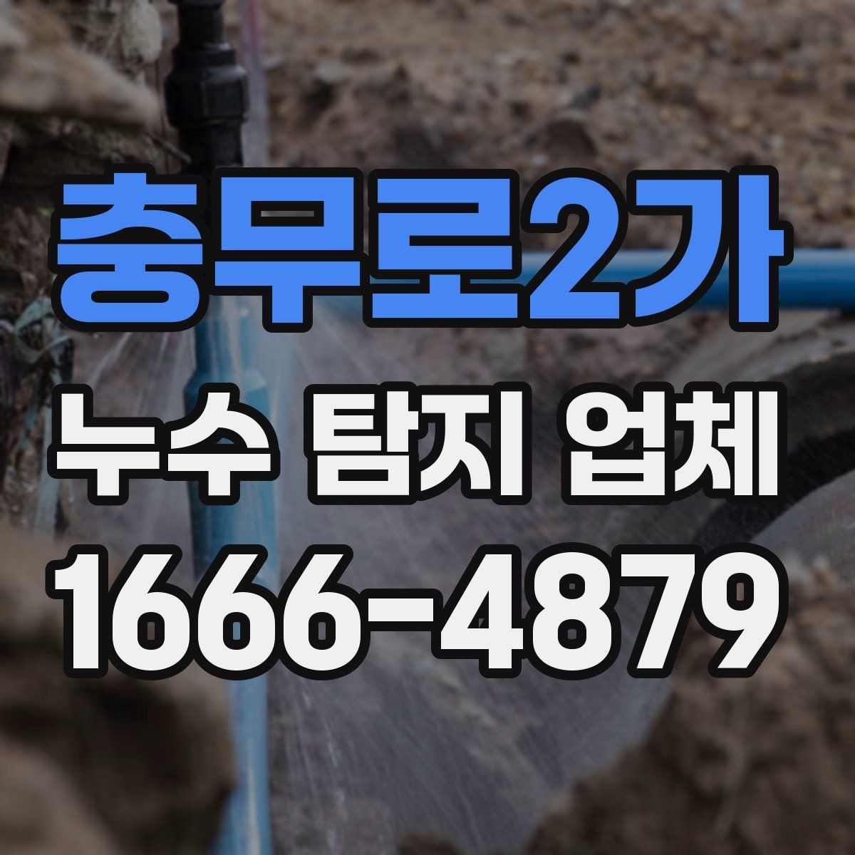충무로2가 누수 탐지 업체