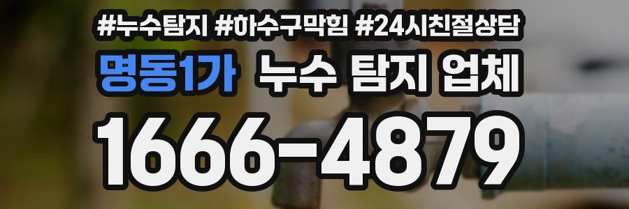 명동1가 누수 탐지 업체