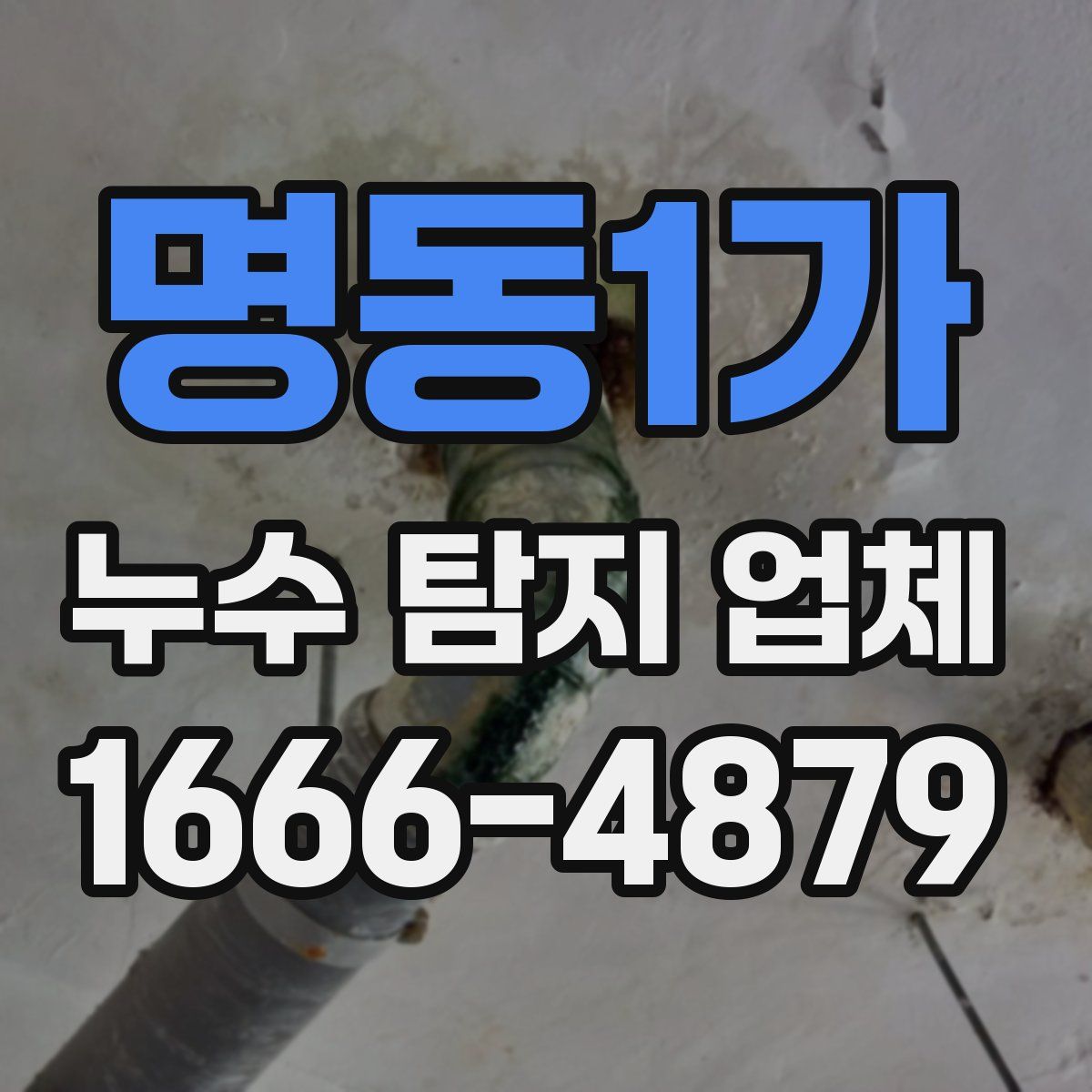 명동1가 누수 탐지 업체