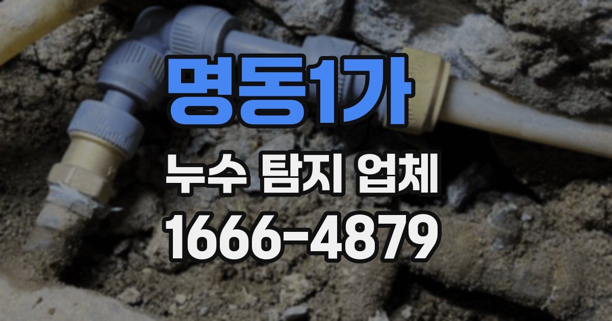 명동1가 누수 탐지 업체