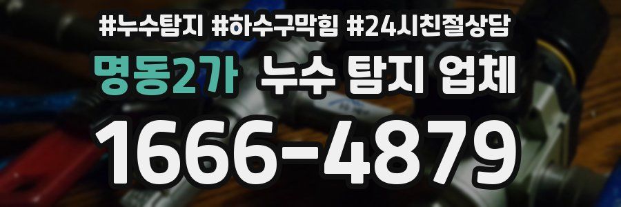 명동2가 누수 탐지 업체