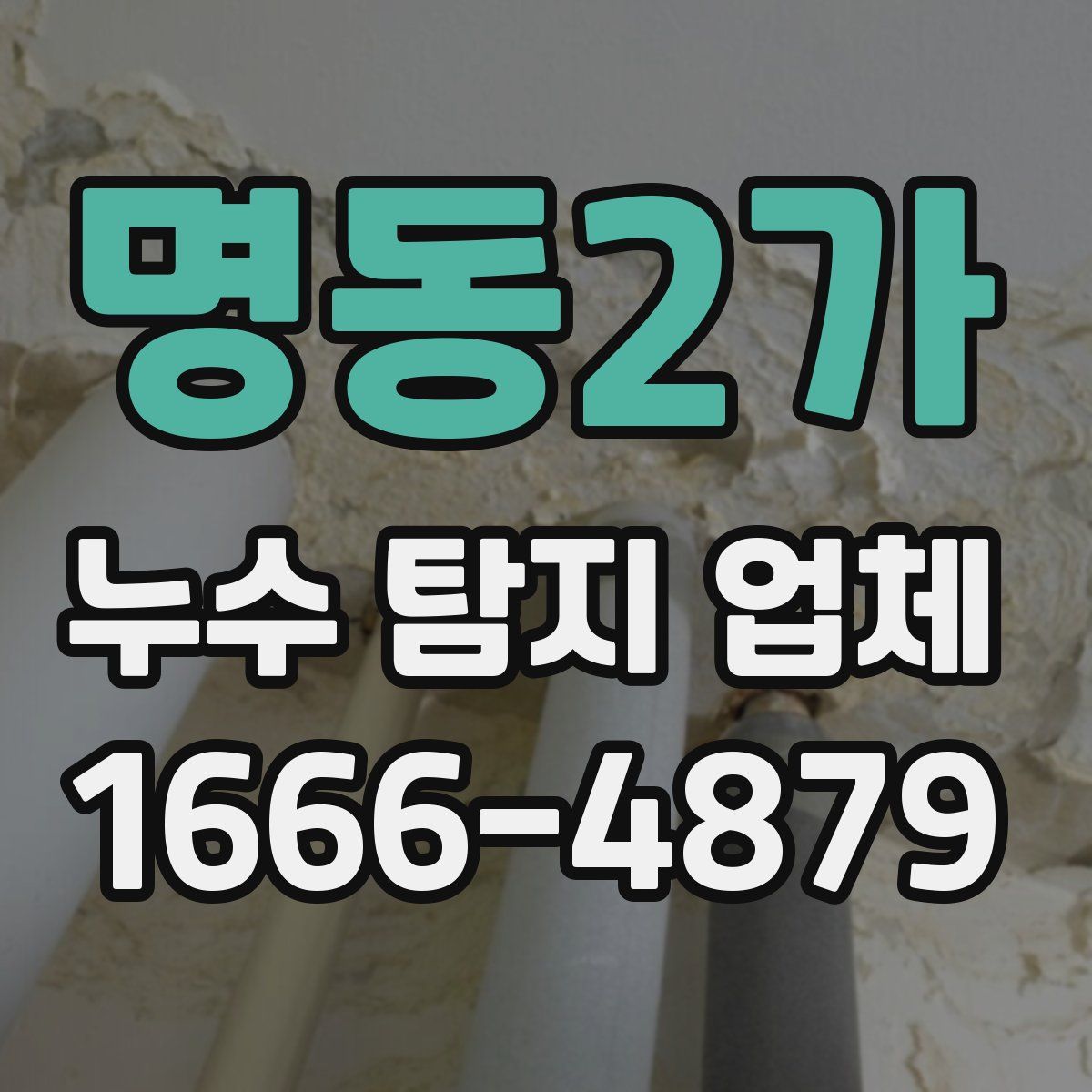 명동2가 누수 탐지 업체