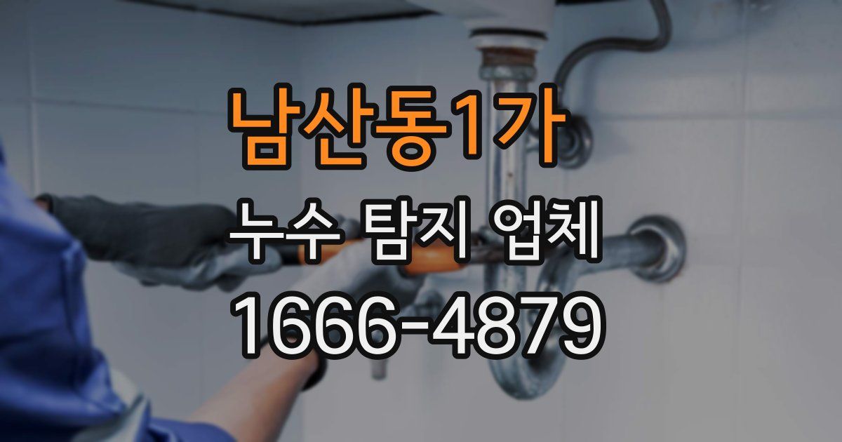 남산동1가 누수 탐지 업체